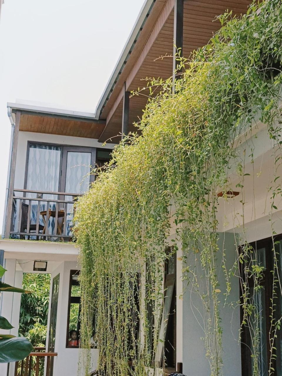 Riverside Plum Garden Villa Hoi An Exteriör bild