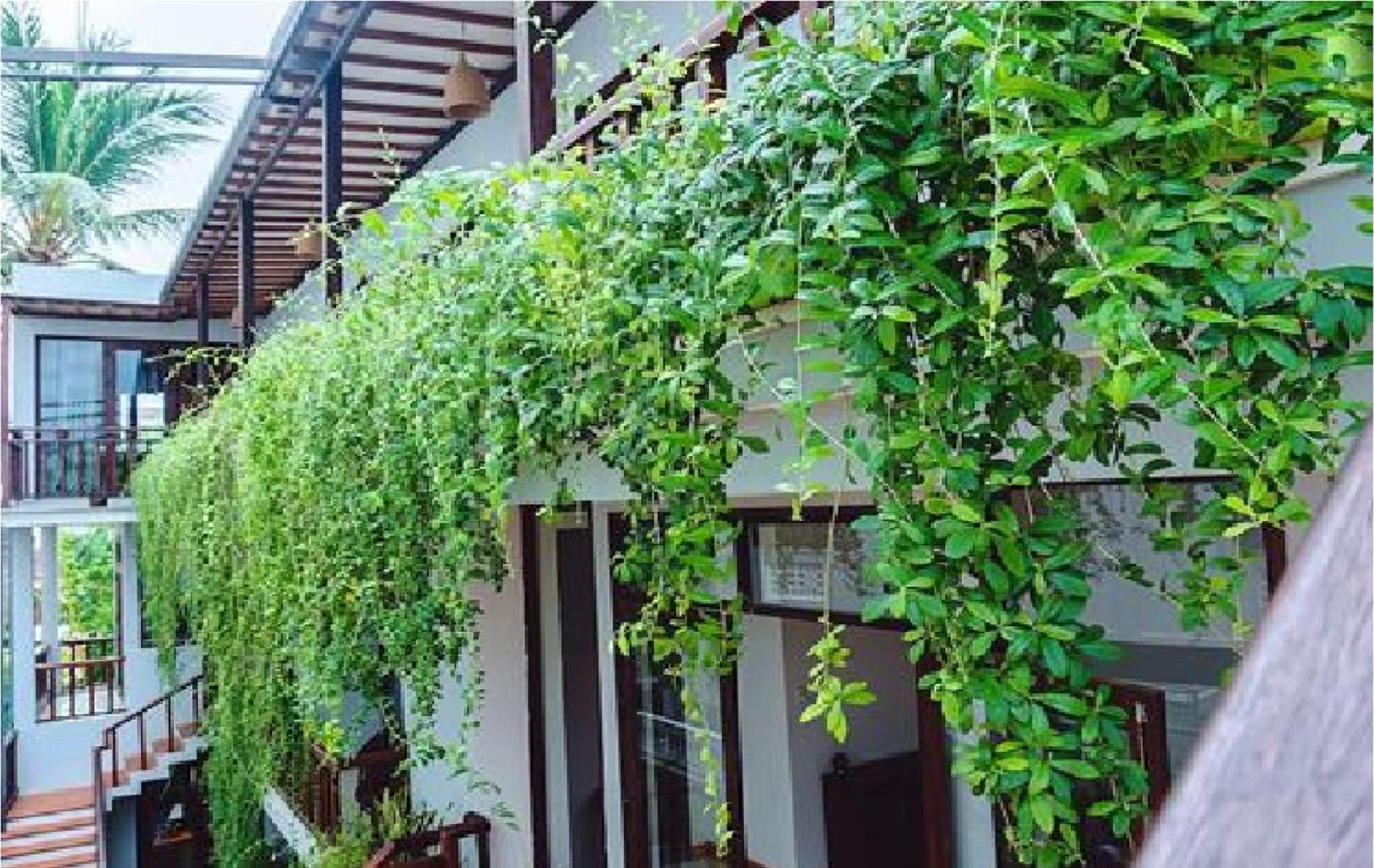 Riverside Plum Garden Villa Hoi An Exteriör bild